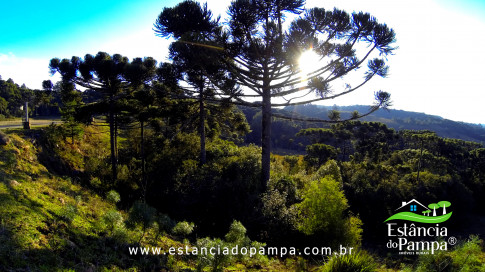 DOS EÓLICOS VIRA P FAZENDA_Moment.00_03_09_01.Quadro396_4644ba5ebd489a481b7c15e494fd47664c50ea8d.jpg